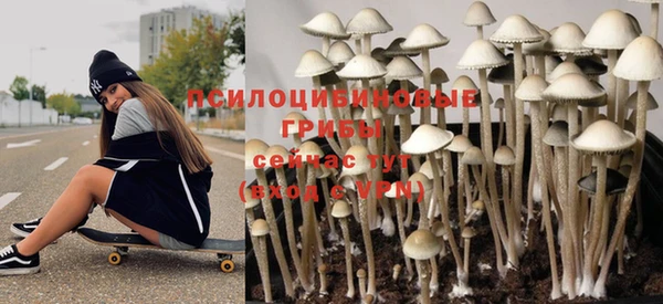 трава Аркадак