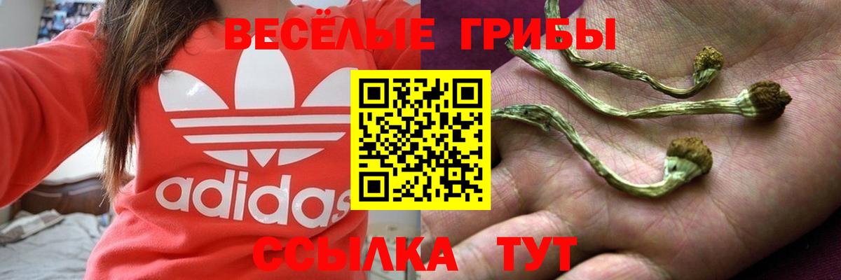Псилоцибиновые грибы MAGIC MUSHROOMS  Псилоцибиновые грибы мицелий  Вход с VPN  наркотики  Фролово 